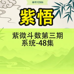 紫悟-紫微斗数第三期系统-48集