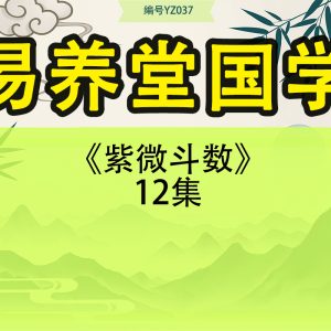 易养堂国学《紫微斗数》12集
