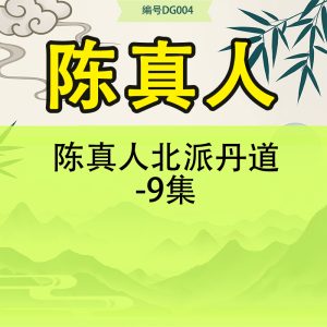 陈真人北派丹道-9集