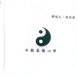 紫微斗数 象数心学- 梁建豪-196页