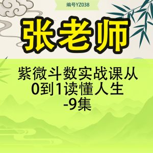 张老师紫微斗数实战课从0到1读懂人生-9集