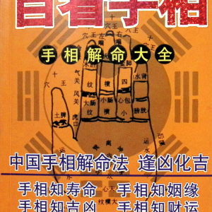 邵伟华  自看手相 450页