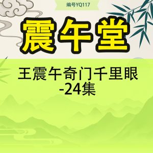 震午堂王震午奇门千里眼-24集