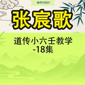 张宸歌 道传小六壬教学-18集