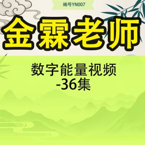 金霖老师数字能量视频-36集