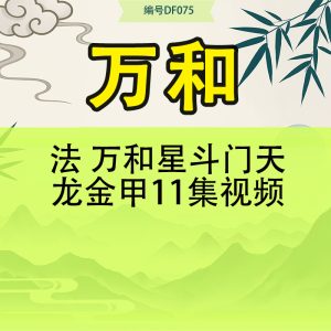 法 万和星斗门天龙金甲11集视频