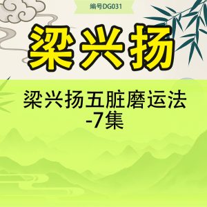 梁兴扬五脏磨运法-7集