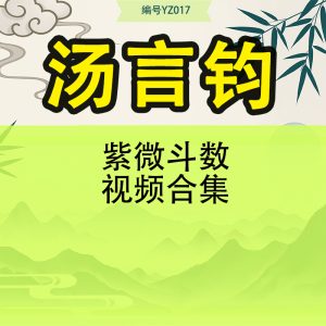 汤言钧紫微斗数视频合集