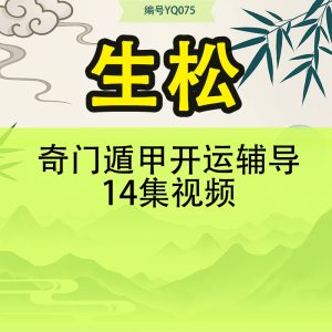 生松 奇门遁甲开运辅导14集视频