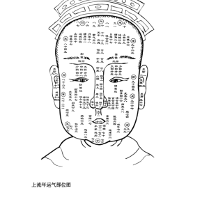 青山书院 鹤鹤 道家识人术课程27集+课件