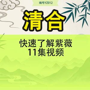 清合-快速了解紫薇11集视频