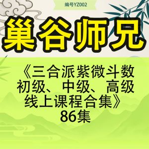 巢谷师兄-《三合派紫微斗数初级、中级、高级线上课程合集》86集
