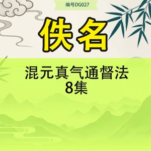 混元真气通督法8集