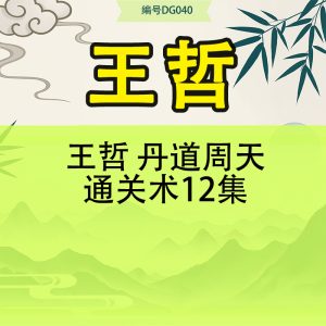王哲 丹道周天通关术12集