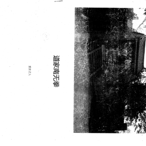 紫宫道人 道家南无拳修炼法