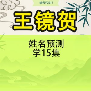 王镜贺-姓名预测学15集