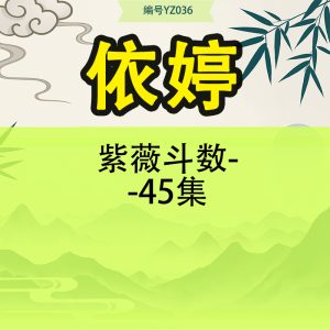 紫薇斗数-依婷-45集