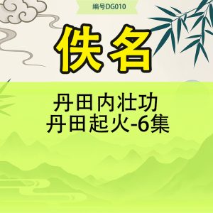 丹田内壮功 丹田起火-6集