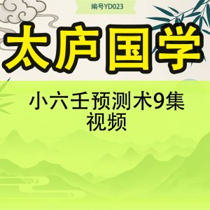 太庐国学小六壬预测术9集视频