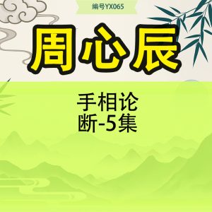 周心辰手相论断-5集