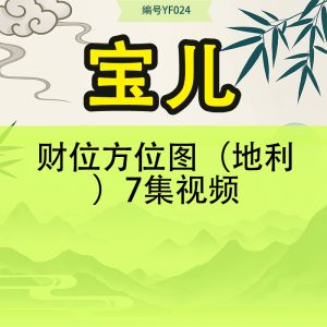 宝儿 财位方位图（地利）7集视频