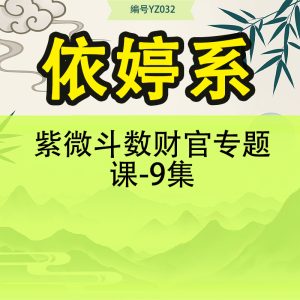 依婷系 紫微斗数财官专题课-9集