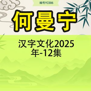 何曼宁汉字文化2025年-12集
