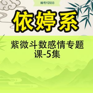 依婷系 紫微斗数感情专题课-5集
