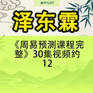 泽东霖《周易预测课程完整》30集视频约12