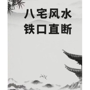 八宅风水铁口直断-新派125页