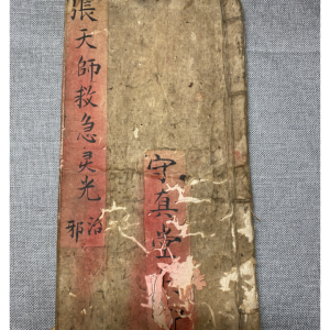 道法 急救灵光PDF