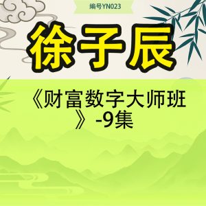 徐子辰《财富数字大师班》-9集