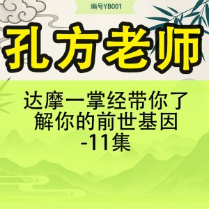 达摩一掌经 孔方老师 带你了解 你的前世基因-11集