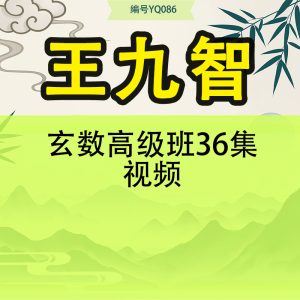王九智玄数高级班  36集视频