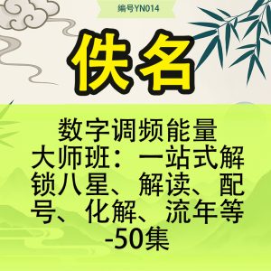 数字调频能量大师班：一站式解锁八星、解读、配号、化解、流年等-50集