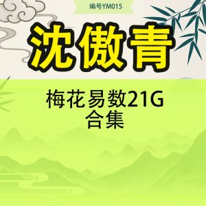 岳哥不群梅花易数从入门到熟练-38集