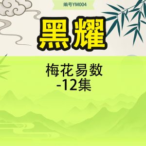 黑耀梅花易数-12集