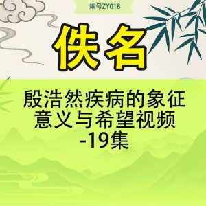 殷浩然疾病的象征意义与希望视频-19集