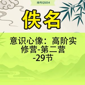 意识心像：高阶实修营-第二营-29节