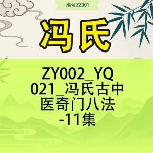 冯氏古中医奇门八法-11集