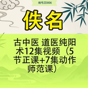 古中医 道医纯阳术12集视频（5节正课+7集动作师范课）