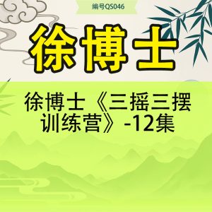 徐博士《三摇三摆训练营》-12集