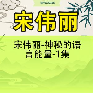 宋伟丽-神秘的语言能量-1集