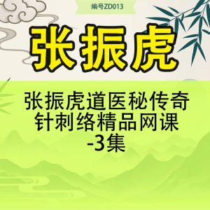 张振虎道医秘传奇针刺络精品网课-3集