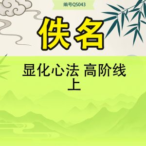 显化心法 高阶线上,经典精华（二营）-23节