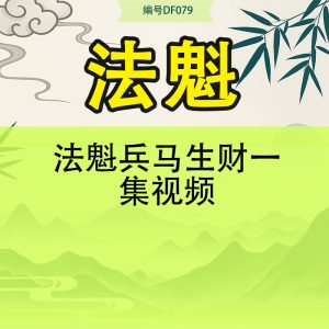 法魁兵马生财一集视频