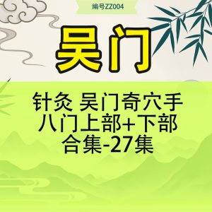 针灸 吴门奇穴手八门上部+下部合集-27集