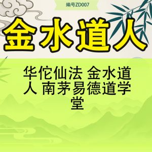 华佗仙法 金水道人 南茅易德道学堂