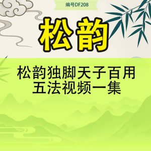 松韵独脚天子百用五法视频一集