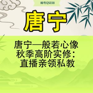 唐宁—般若心像  秋季高阶实修：直播亲领私教